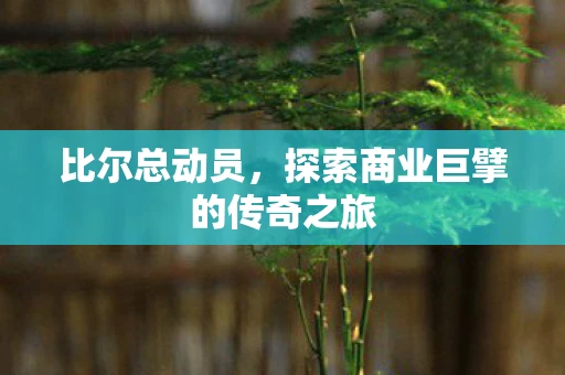 比尔总动员，探索商业巨擘的传奇之旅