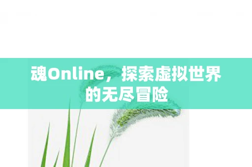 魂Online，探索虚拟世界的无尽冒险