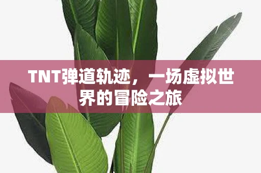 TNT弹道轨迹，一场虚拟世界的冒险之旅