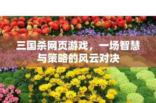 三国杀网页游戏，一场智慧与策略的风云对决