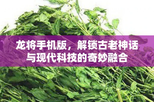 龙将手机版，解锁古老神话与现代科技的奇妙融合
