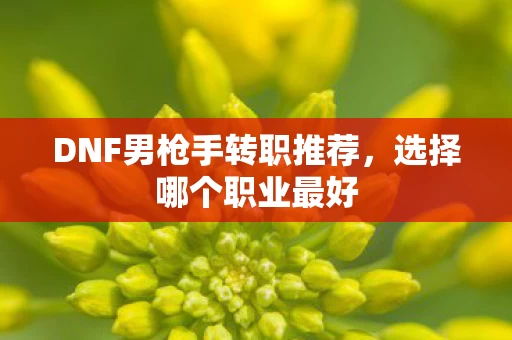 DNF男枪手转职推荐图片