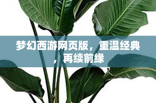 梦幻西游网页版，重温经典，再续前缘
