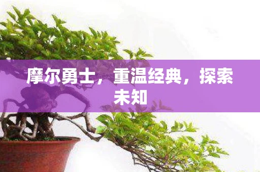 摩尔勇士，重温经典，探索未知