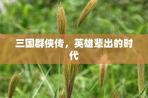 三国群侠传，英雄辈出的时代