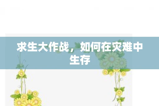 求生大作战，如何在灾难中生存