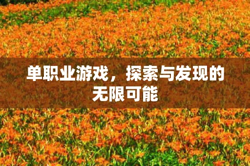 单职业游戏，探索与发现的无限可能