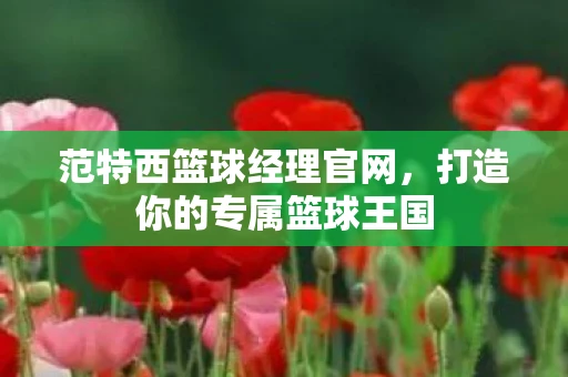 范特西篮球经理官网，打造你的专属篮球王国