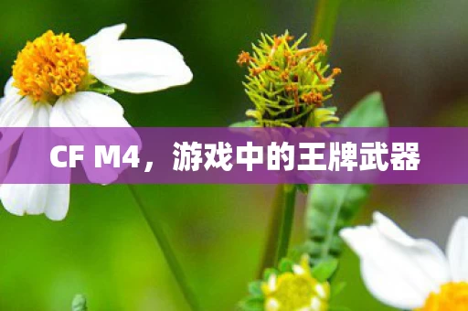 游戏中的王牌武器图片
