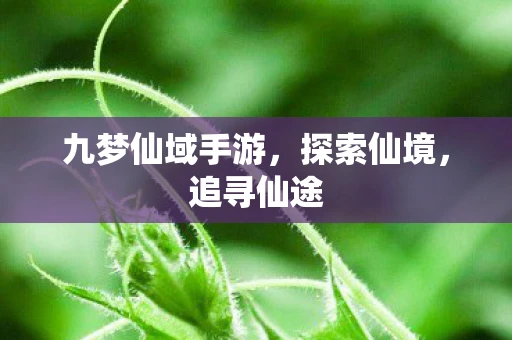 九梦仙域手游，探索仙境，追寻仙途