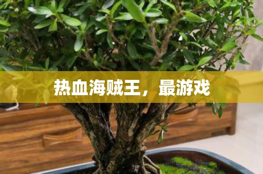 热血海贼王，最游戏