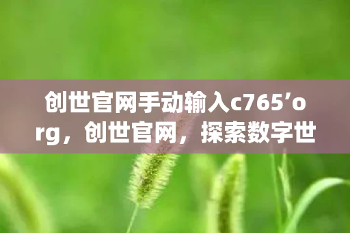 创世官网手动输入c765’org，创世官网，探索数字世界的无限可能