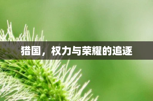 猎国，权力与荣耀的追逐