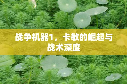 卡敏的崛起与战术深度图片