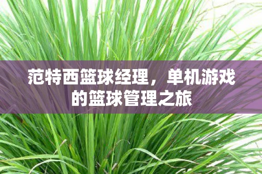 范特西篮球经理，单机游戏的篮球管理之旅