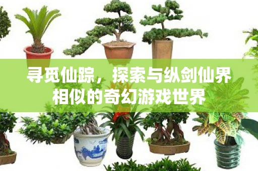 寻觅仙踪，探索与纵剑仙界相似的奇幻游戏世界