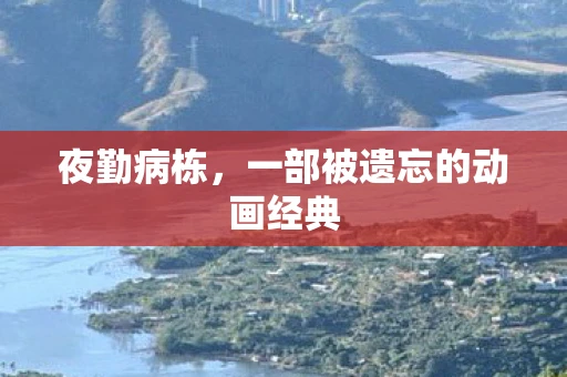 夜勤病栋，一部被遗忘的动画经典