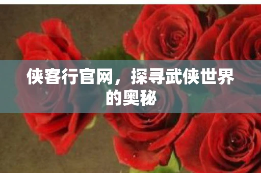 侠客行官网，探寻武侠世界的奥秘