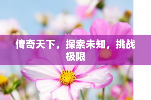 传奇天下，探索未知，挑战极限