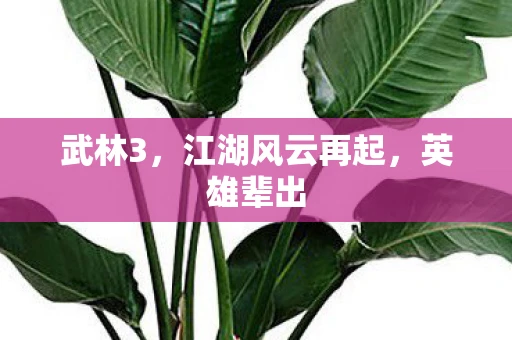 武林3，江湖风云再起，英雄辈出