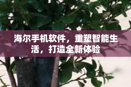 海尔手机软件图片