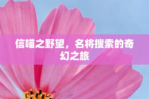 信喵之野望，名将搜索的奇幻之旅