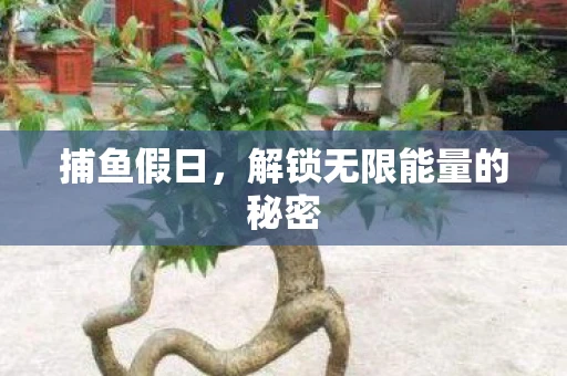 捕鱼假日，解锁无限能量的秘密