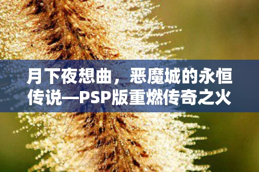 PSP版重燃传奇之火图片
