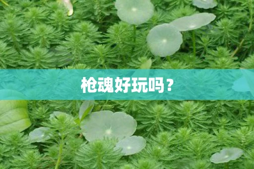 枪魂好玩吗？