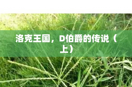 洛克王国，D伯爵的传说（上）