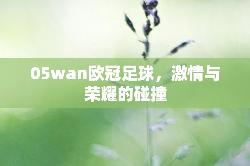 05wan欧冠足球，激情与荣耀的碰撞