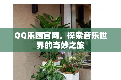 QQ乐团官网，探索音乐世界的奇妙之旅