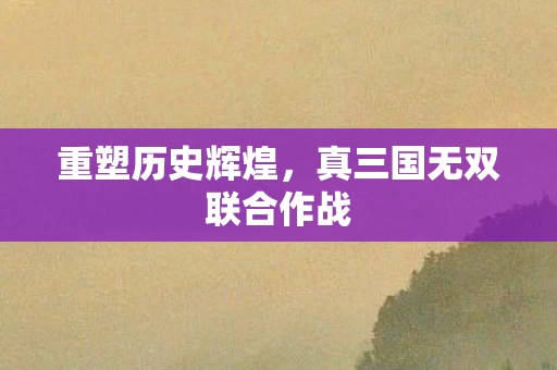真三国无双联合作战图片