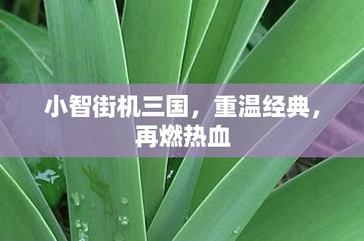 小智街机三国，重温经典，再燃热血