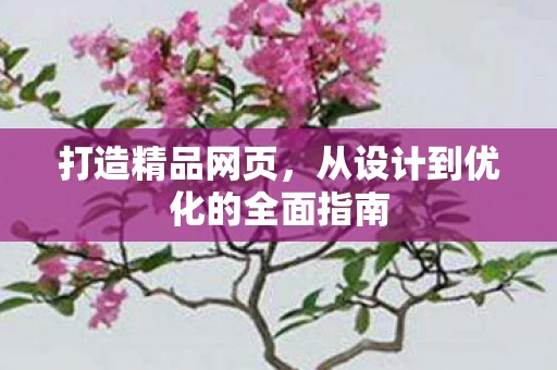 打造精品网页，从设计到优化的全面指南