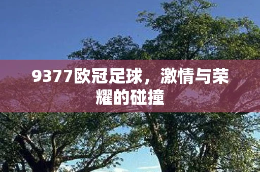 9377欧冠足球，激情与荣耀的碰撞