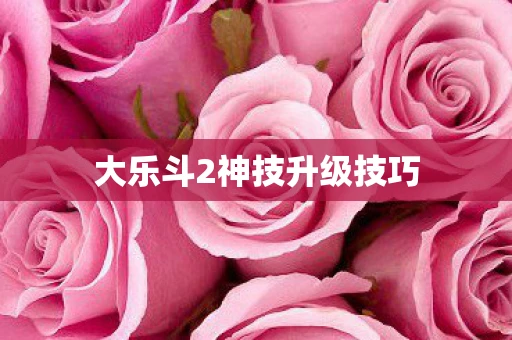 大乐斗2神技升级技巧
