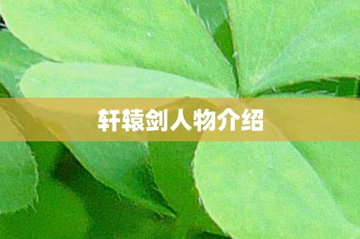 轩辕剑人物介绍