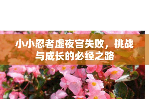 小小忍者虚夜宫失败，挑战与成长的必经之路