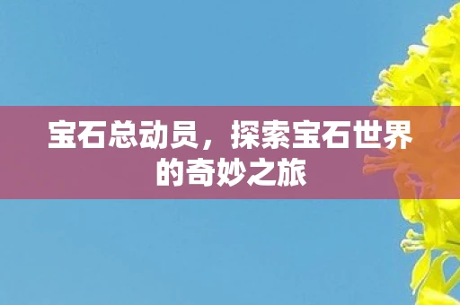 宝石总动员，探索宝石世界的奇妙之旅