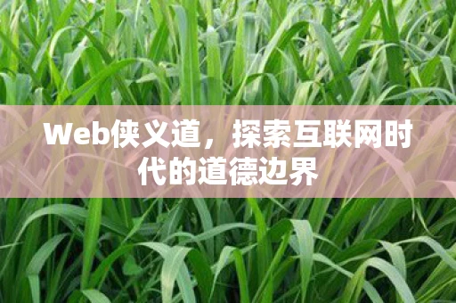 Web侠义道，探索互联网时代的道德边界