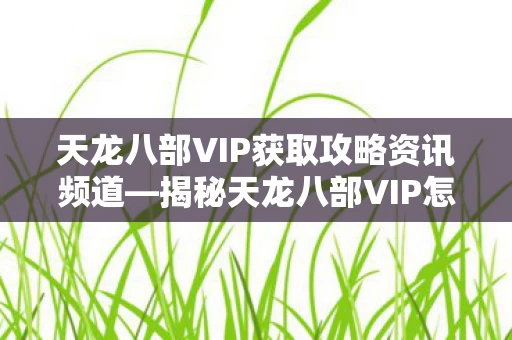 天龙八部VIP获取攻略资讯频道图片