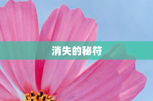 消失的秘符