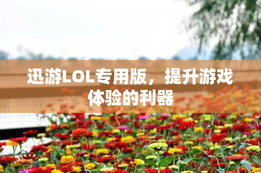提升游戏体验的利器图片