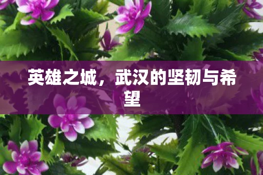 英雄之城，武汉的坚韧与希望