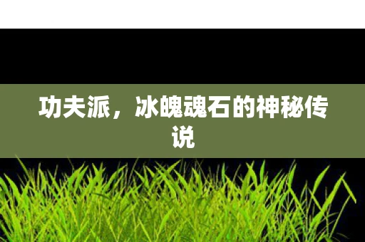 功夫派，冰魄魂石的神秘传说