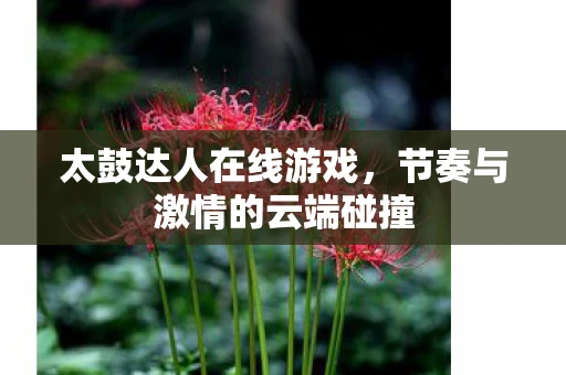 太鼓达人在线游戏，节奏与激情的云端碰撞