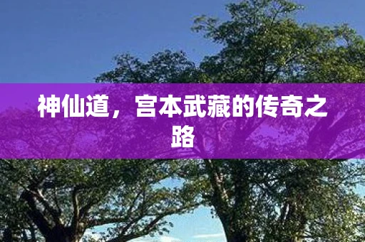 神仙道，宫本武藏的传奇之路