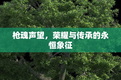 枪魂声望，荣耀与传承的永恒象征
