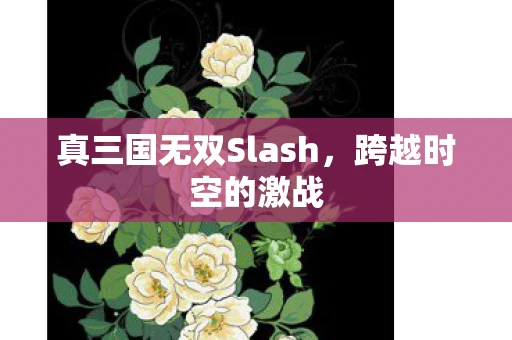 真三国无双Slash，跨越时空的激战